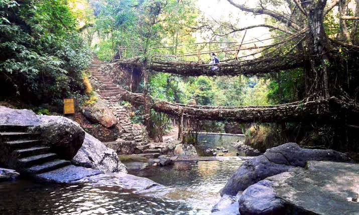 Trekking at Double Decker Root Bridge